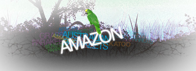 Amazon