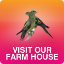Visit Our Farm House